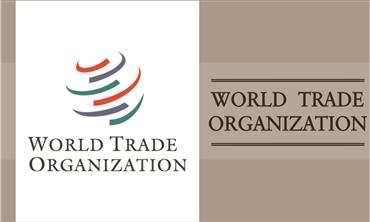 India calls for priority to trade issues that impact developing nations at WTO                      